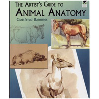 Анатомия животных для художников. Готтфрид Баммес. The Artist's guide to animal anatomy. Gottfried Bammes