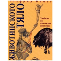 Анатомия животных для художников. Животинското тяло. Готфрид Баммес